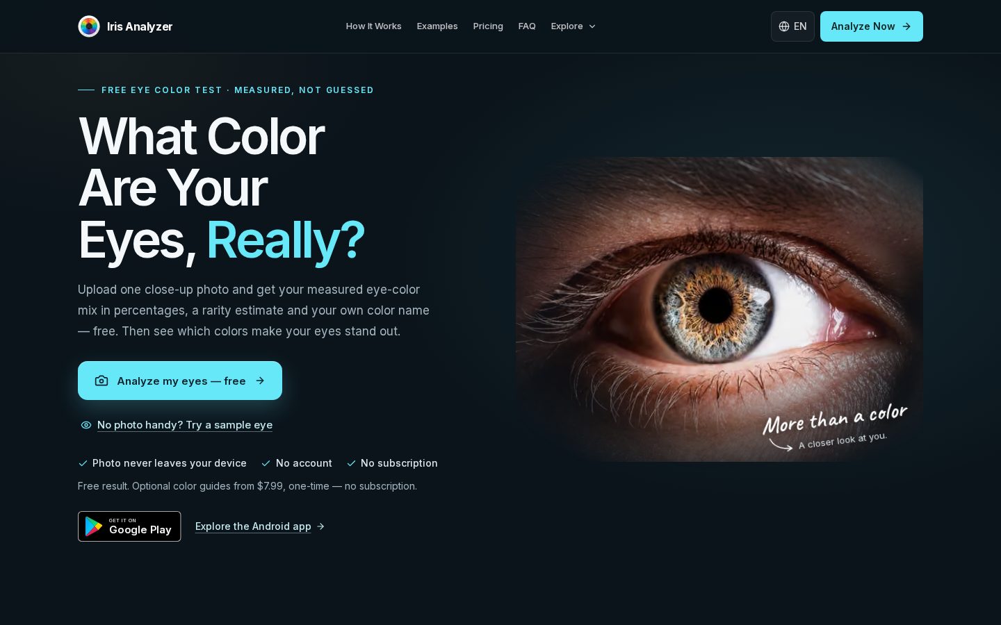 Iris Analyzer Homepage
