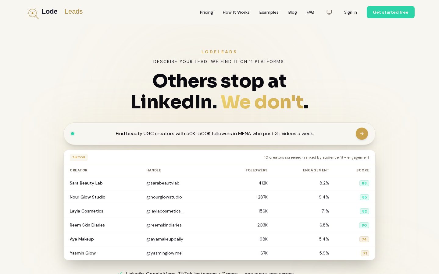 LodeLeads Homepage