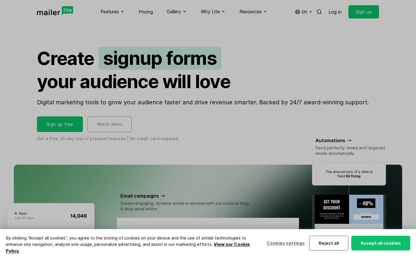 MailerLite Homepage