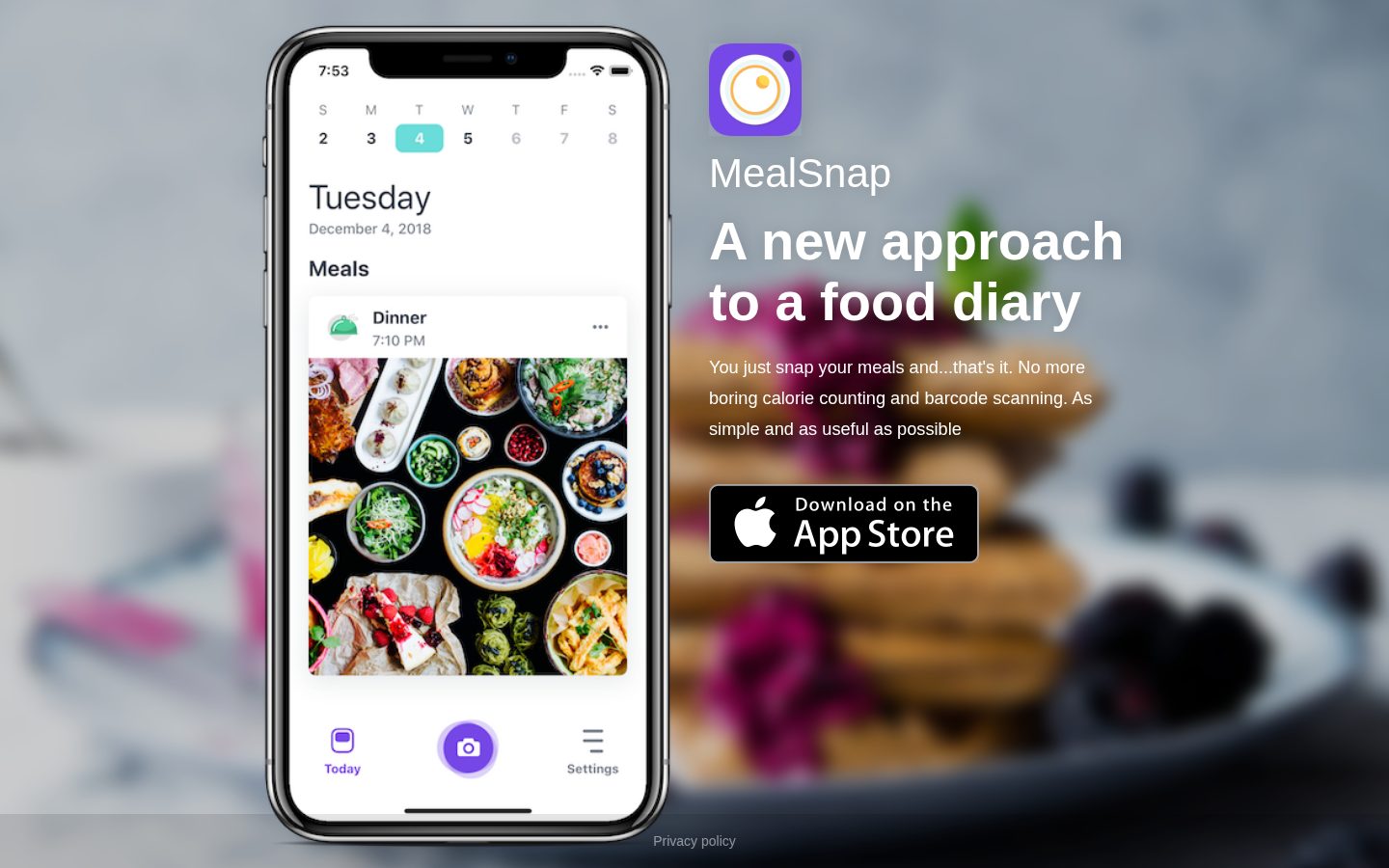 MealSnap Homepage