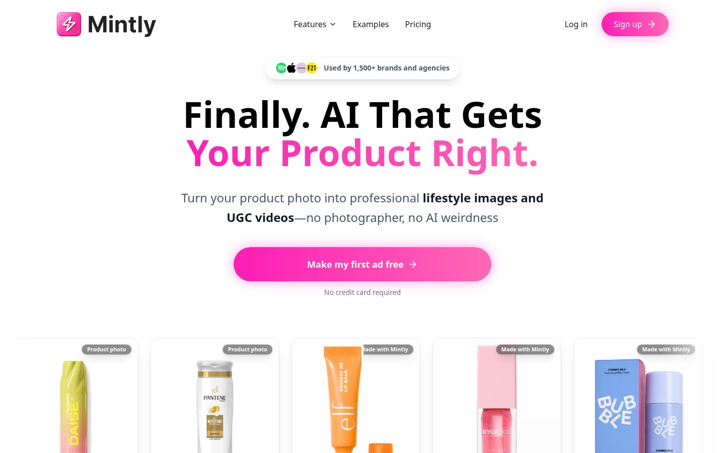 Mintly 1.0 Homepage