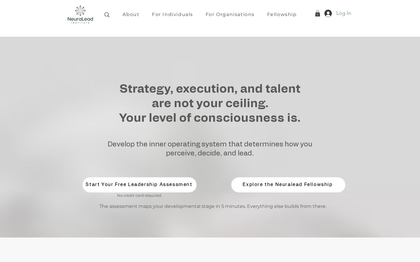 NeuraLead Homepage