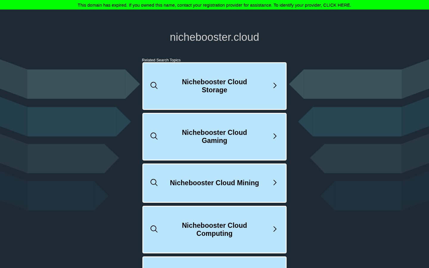 NicheBooster™ AI Pro Homepage