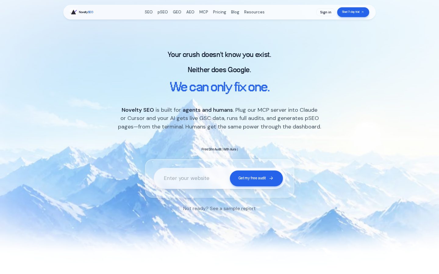 Novelty SEO Homepage