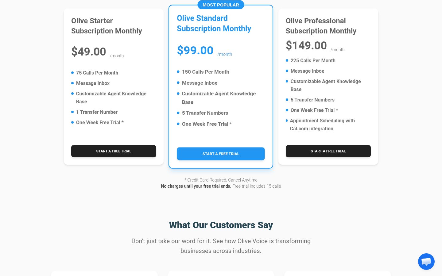 Olive Voice Pricing