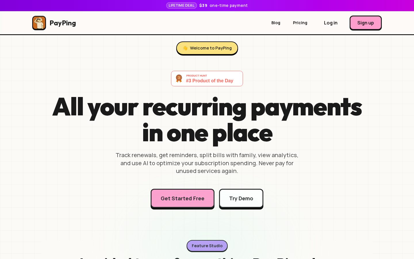 PayPing Homepage