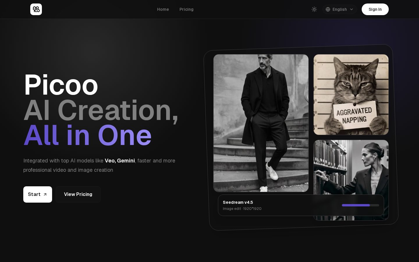 Picoo Homepage