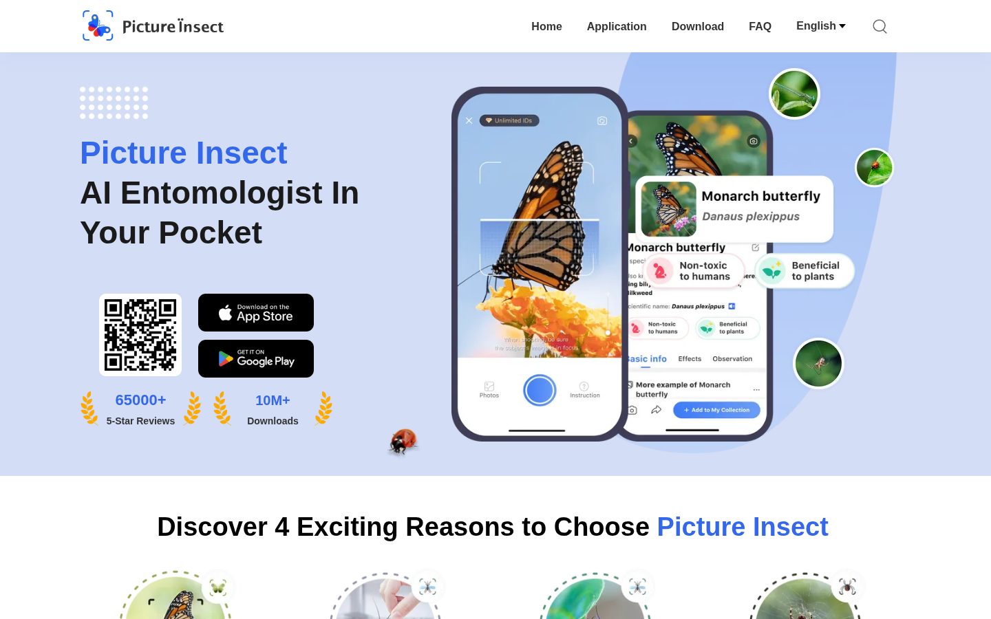 Picture Insect Homepage