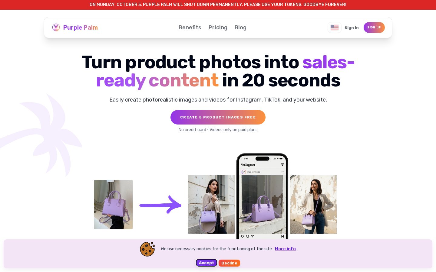 Purple Palm Homepage