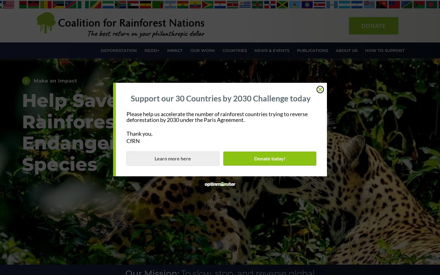 Rainforest Homepage