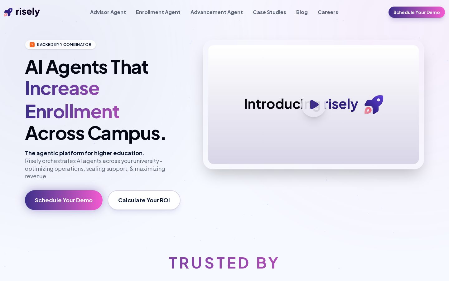 Risely AI Homepage