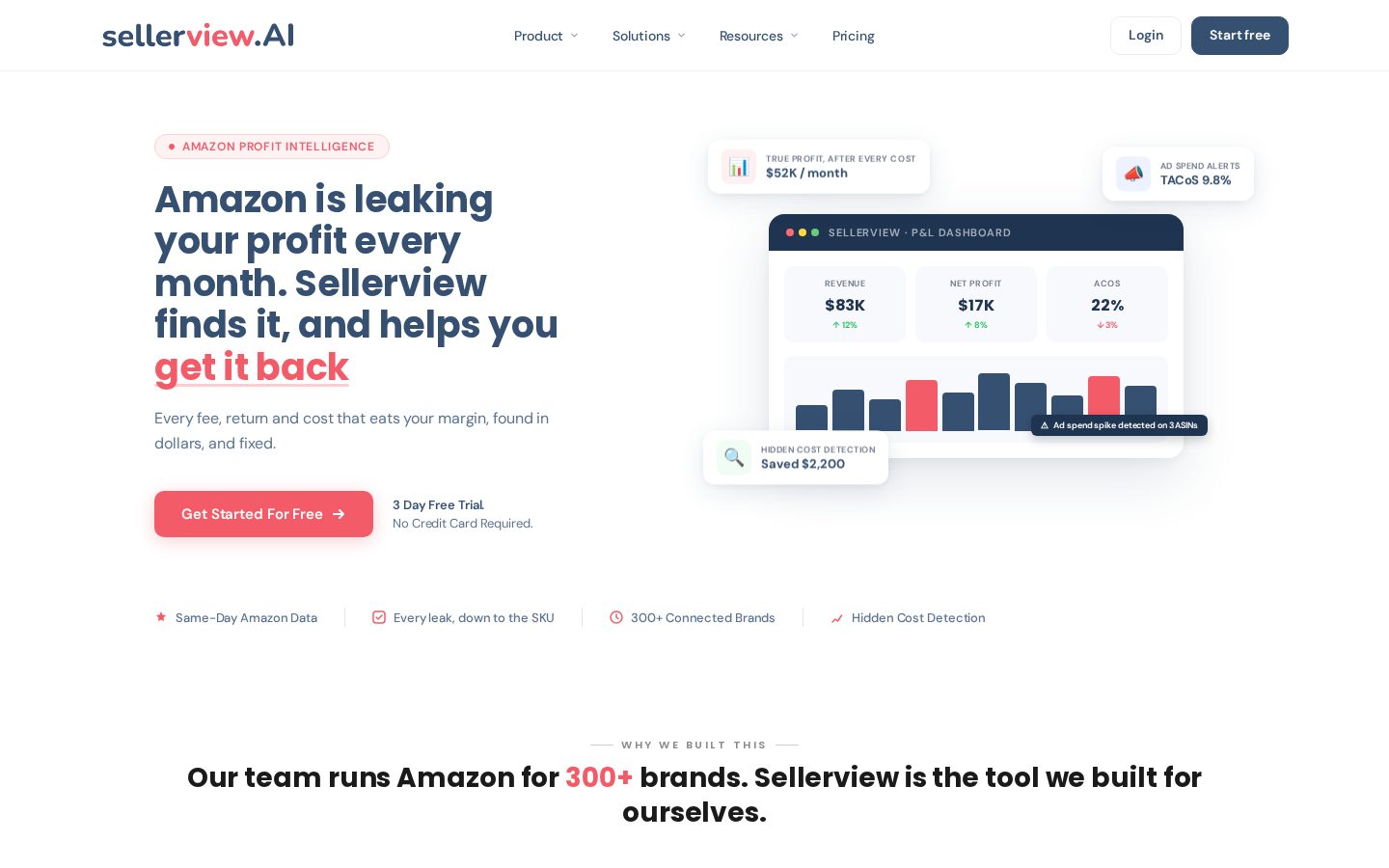 Sellerview.ai Homepage