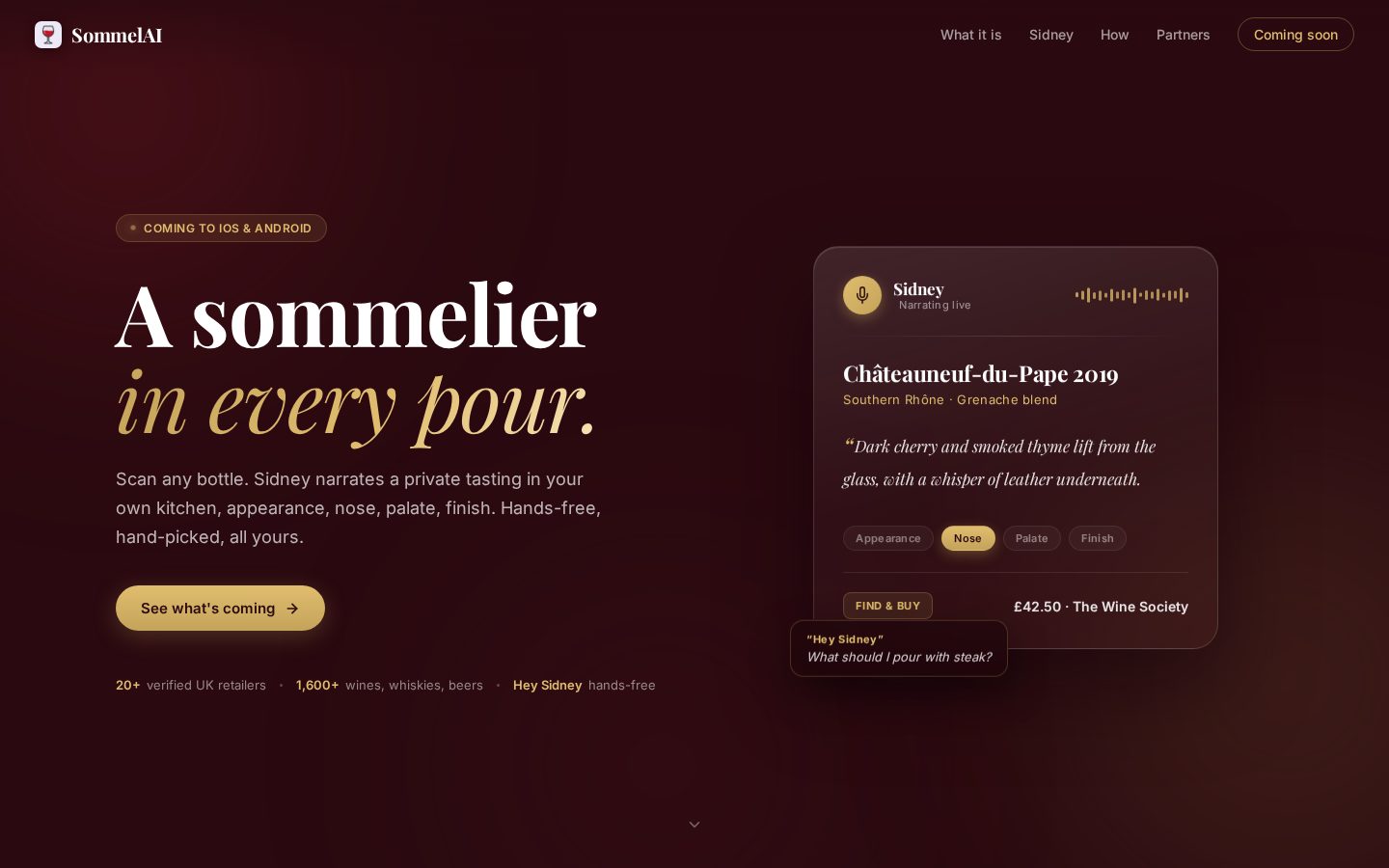 Sommel-ai Homepage