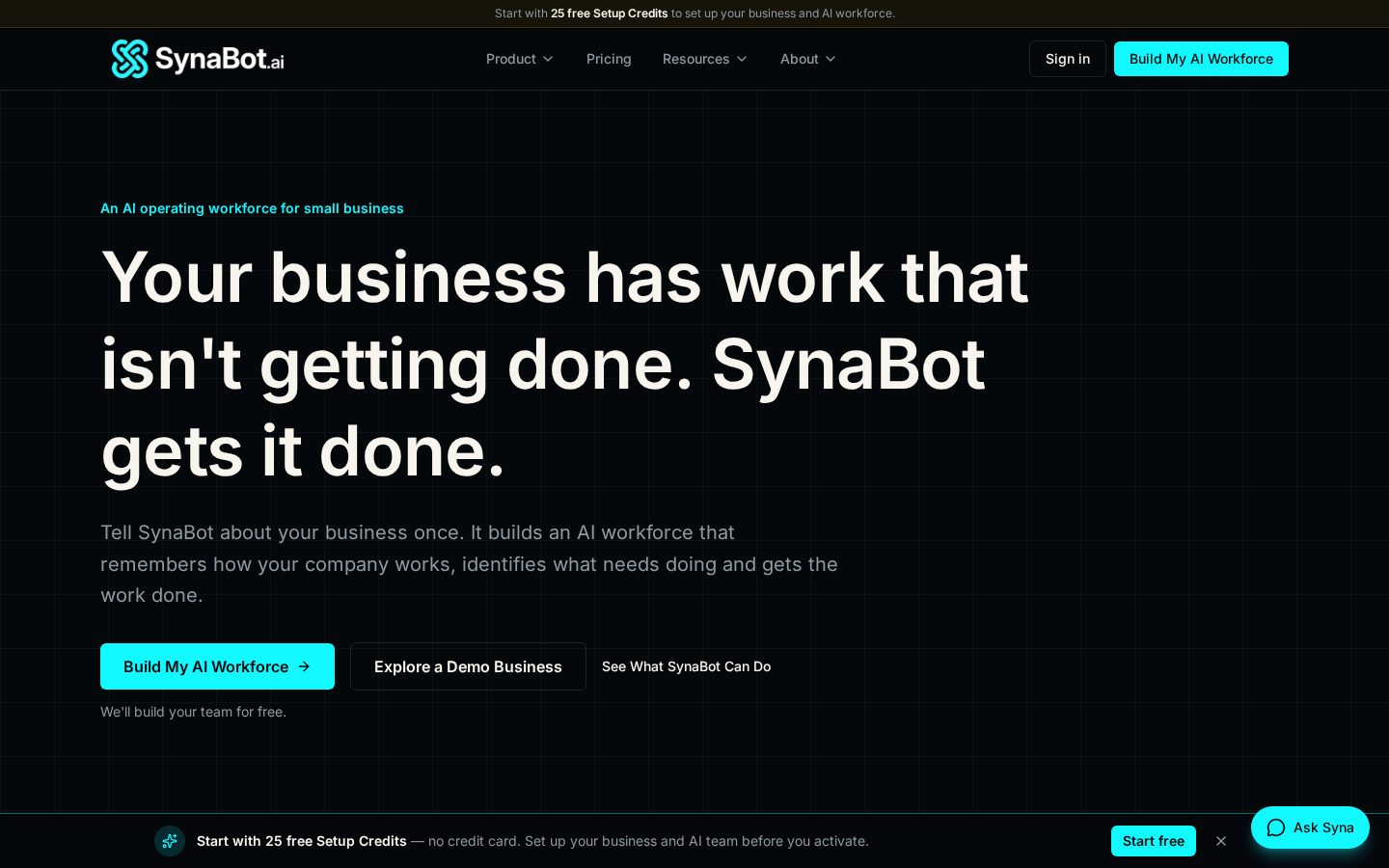 SynaBot Homepage