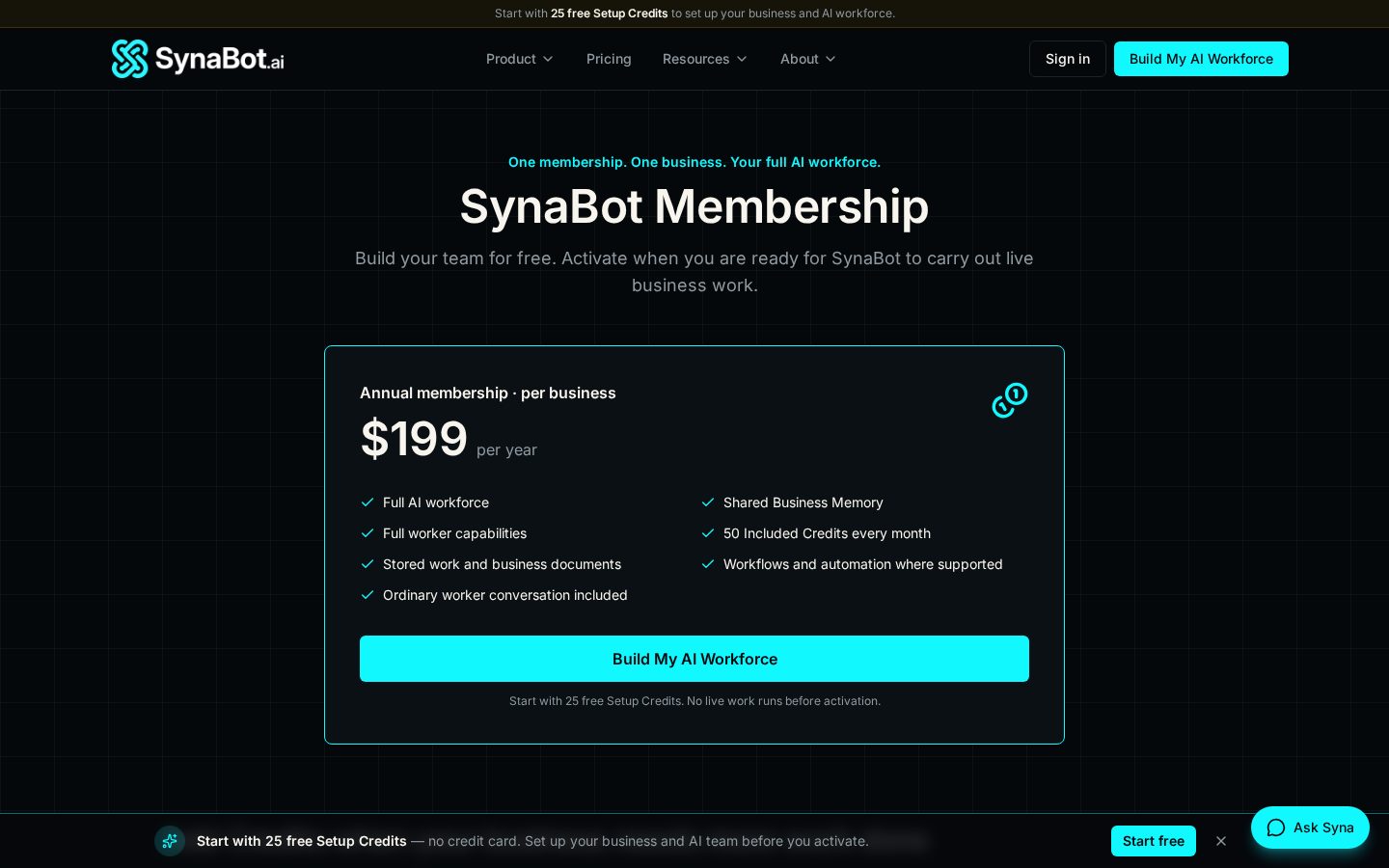 SynaBot Pricing