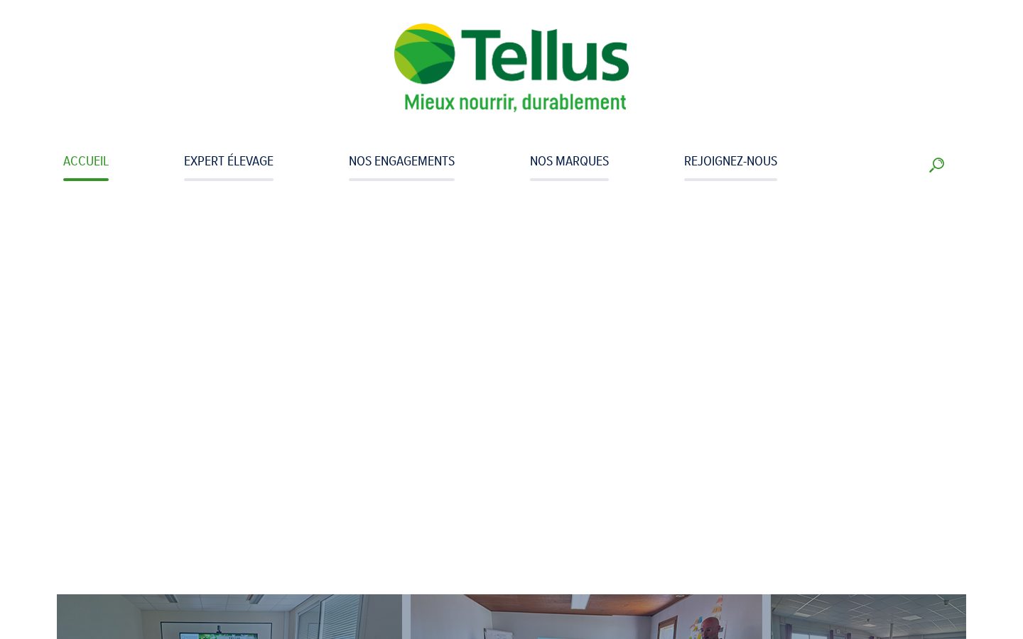Tellus Homepage