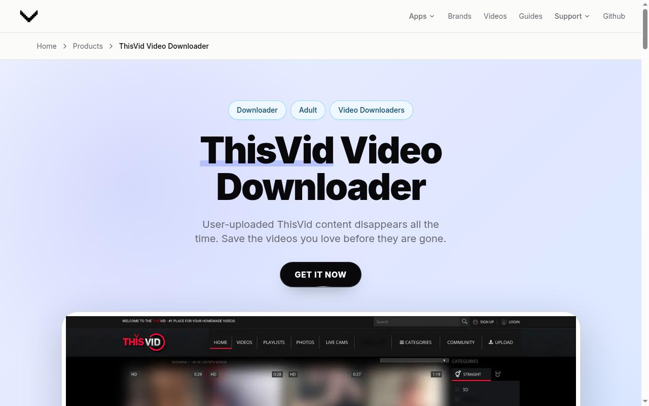 ThisVid Video Downloader Homepage