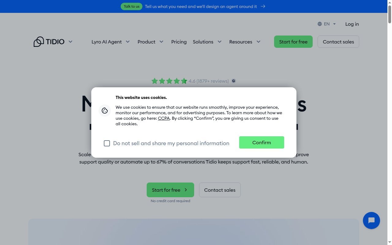 Tidio homepage
