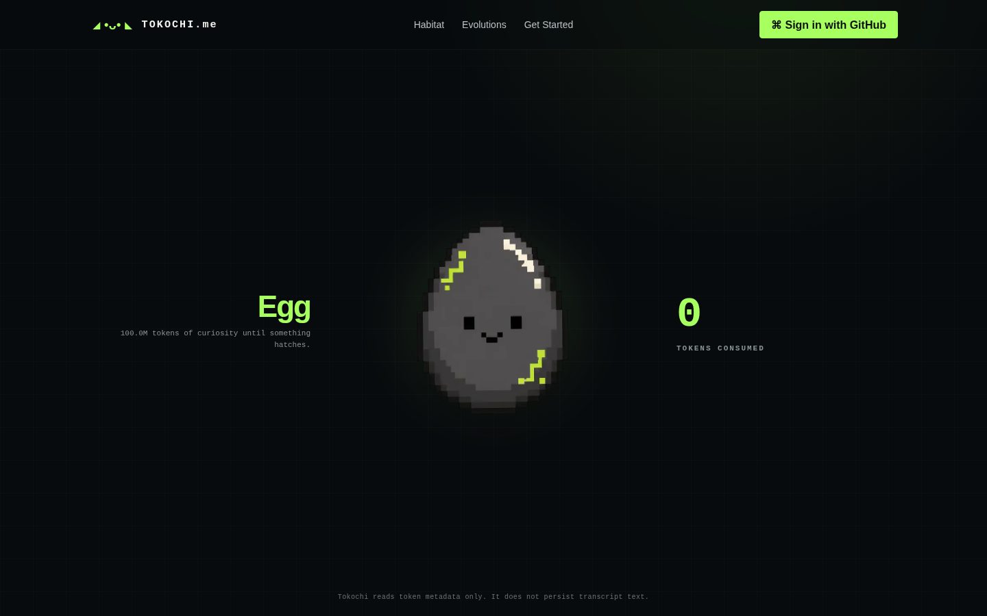 Tokochi Homepage