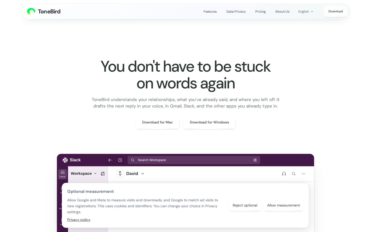 ToneBird.ai Homepage