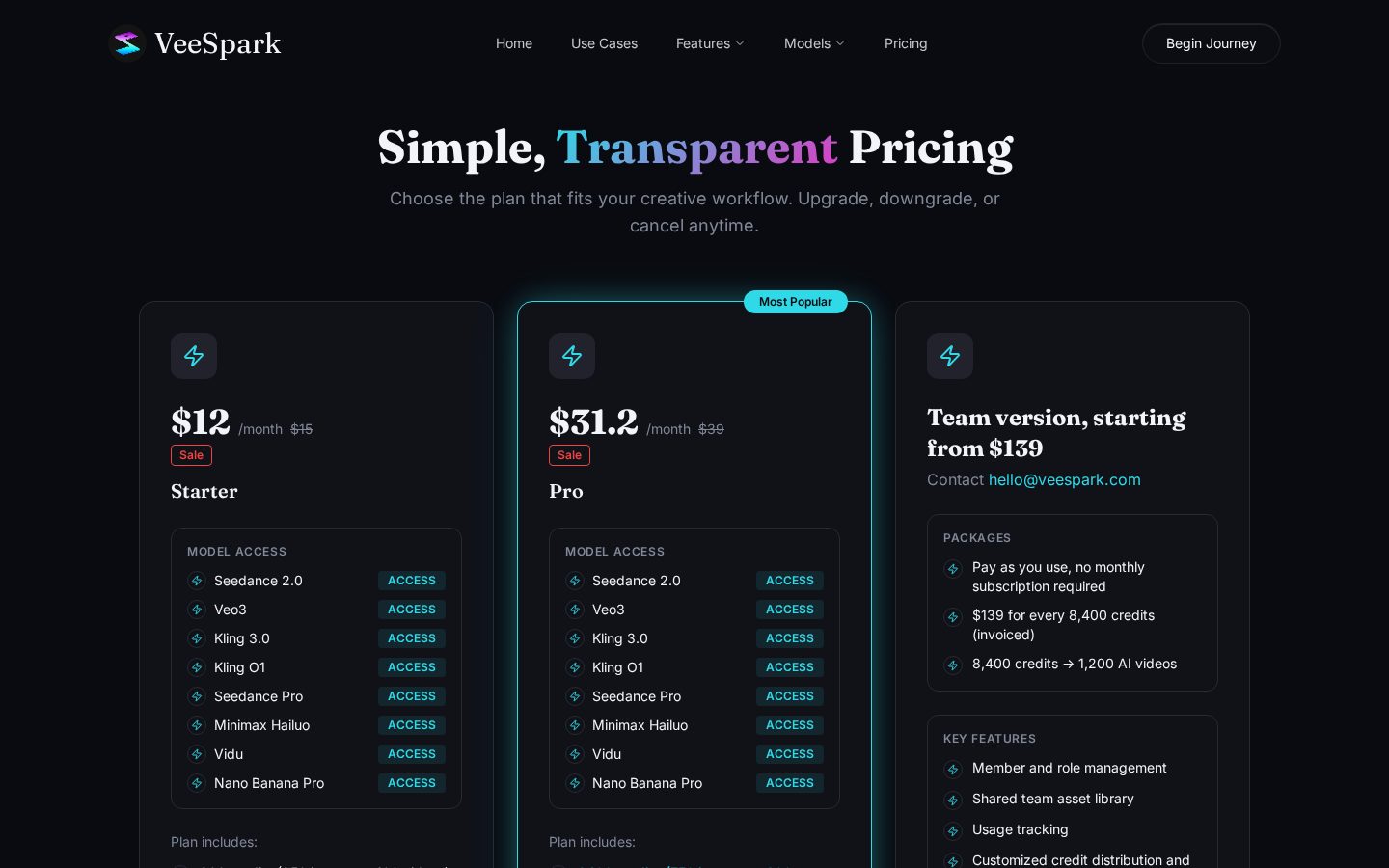 VeeSpark AI Pricing