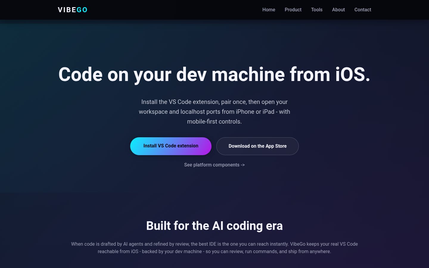 VibeGo Homepage