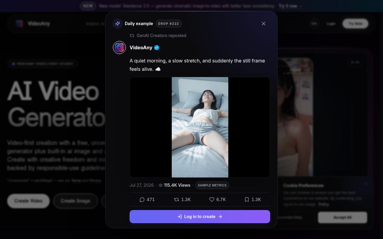 VideoAny Homepage