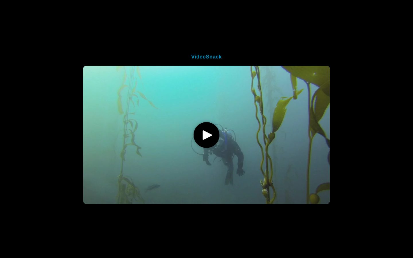 VideoSnack Homepage