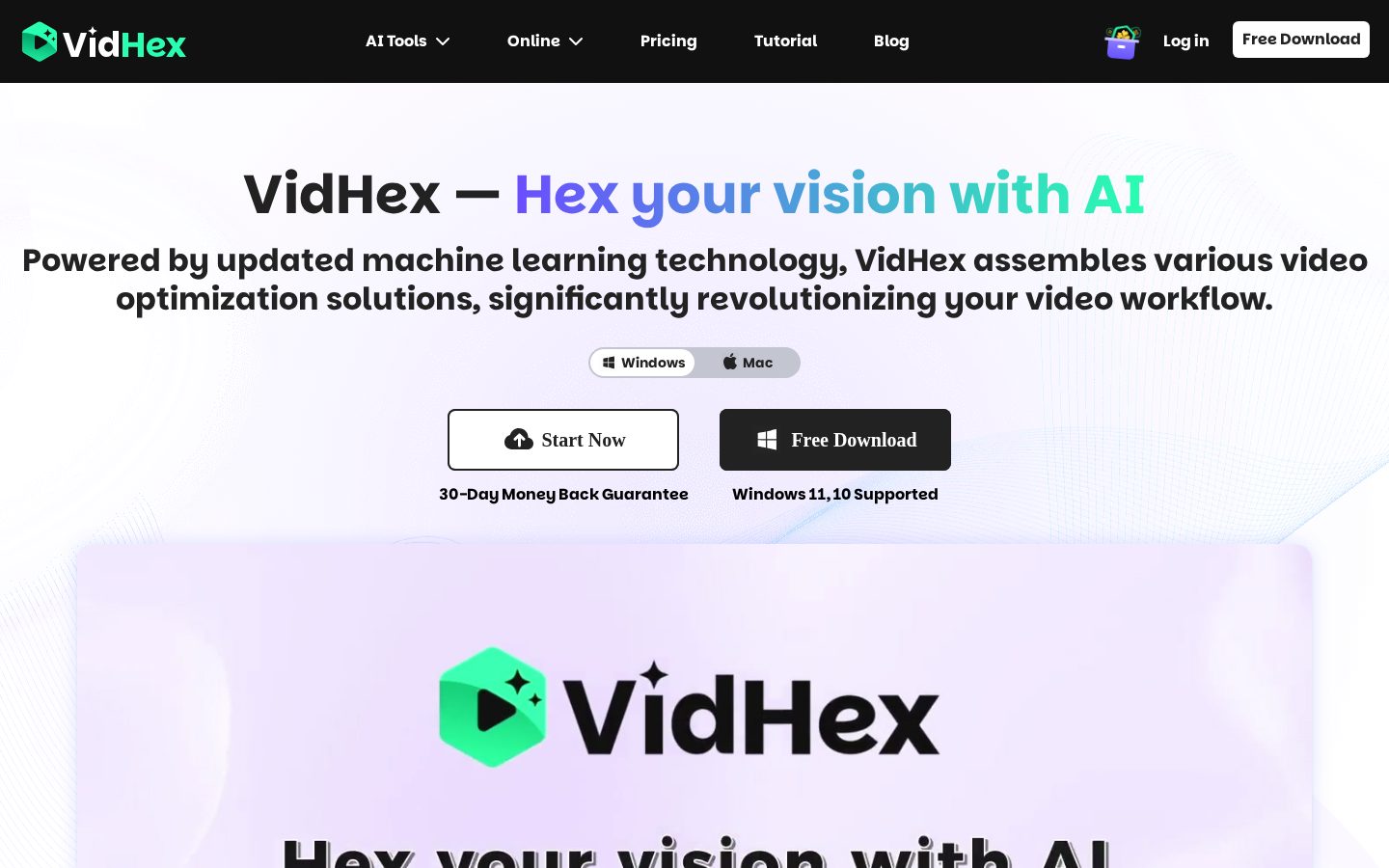 VidHex Homepage