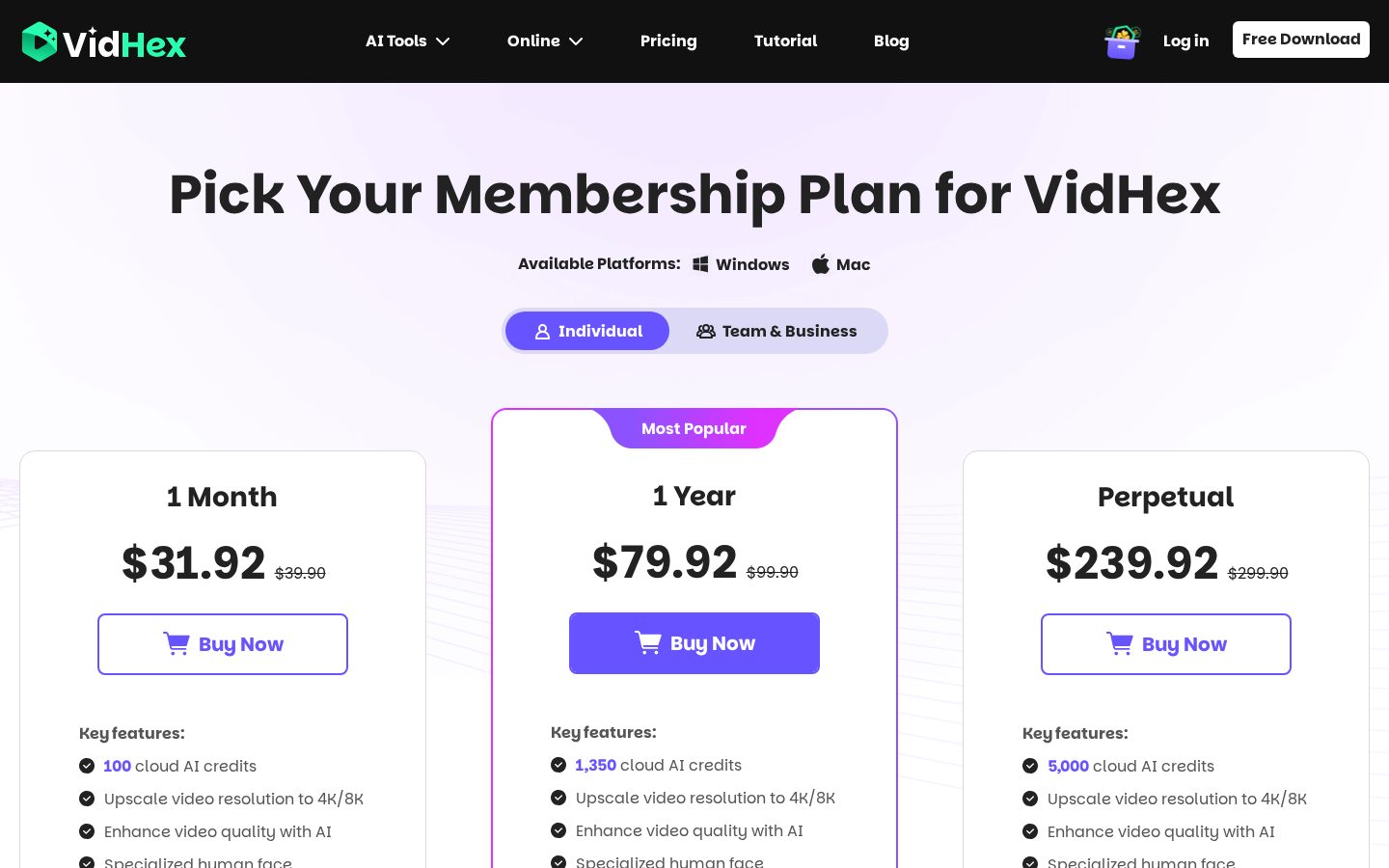 VidHex Pricing