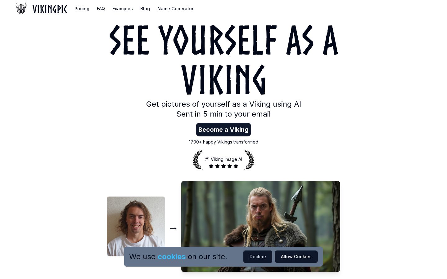 VikingPic Homepage