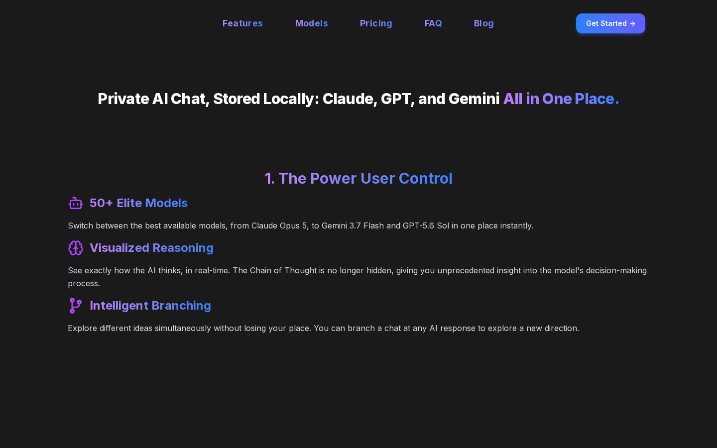 VividLLM Homepage