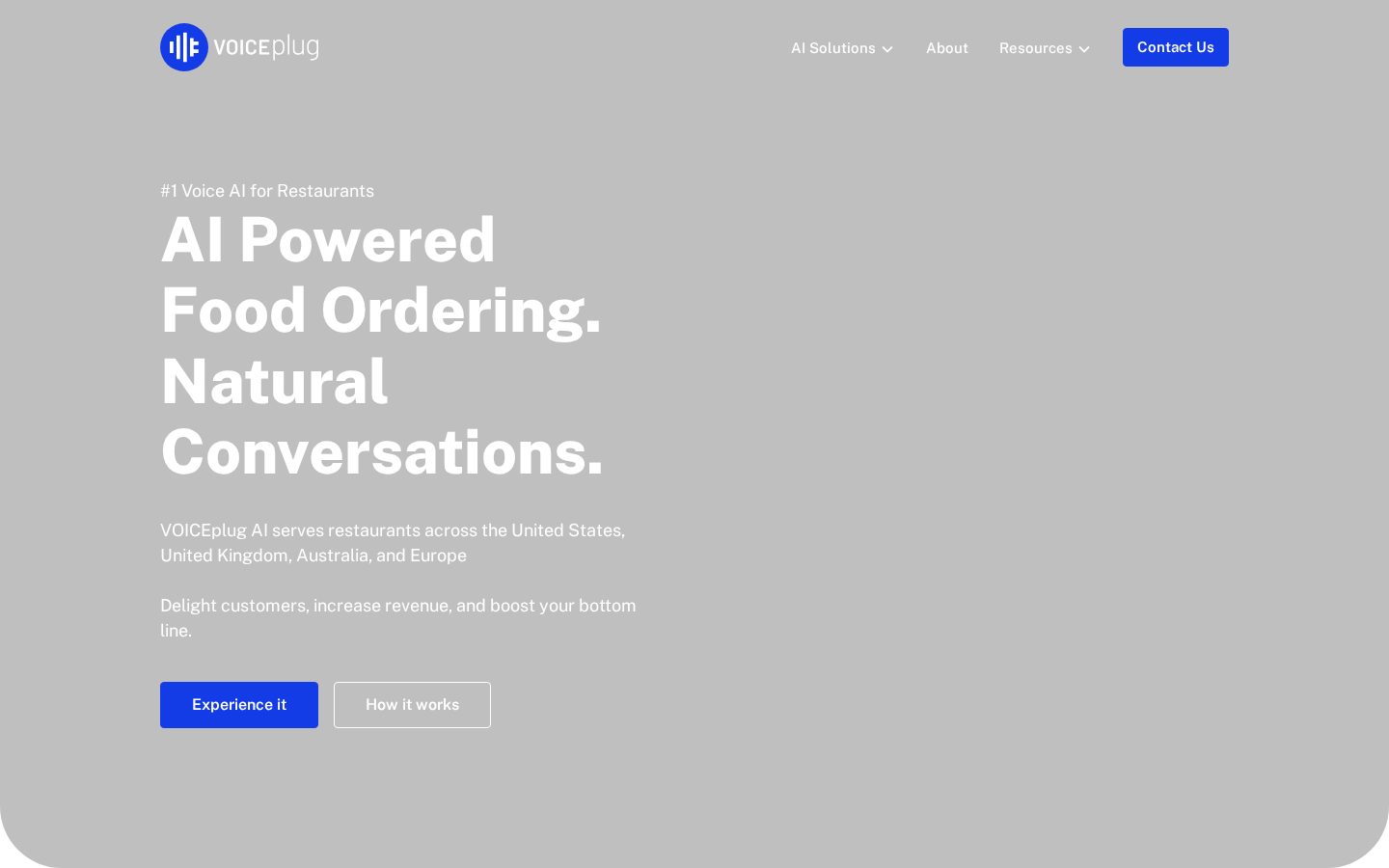 VOICEplug AI Homepage
