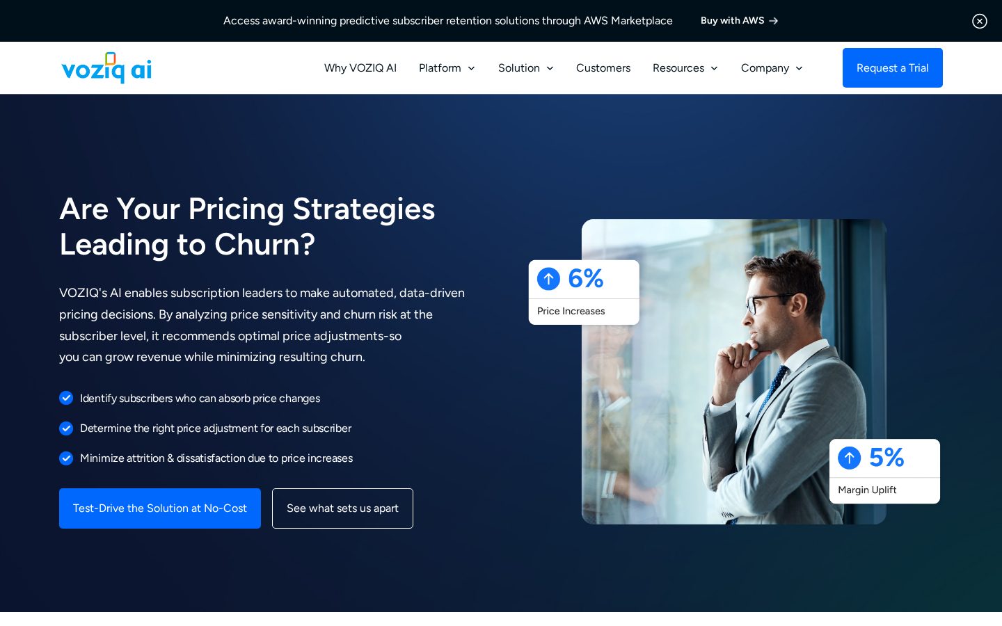 VOZIQ AI Pricing