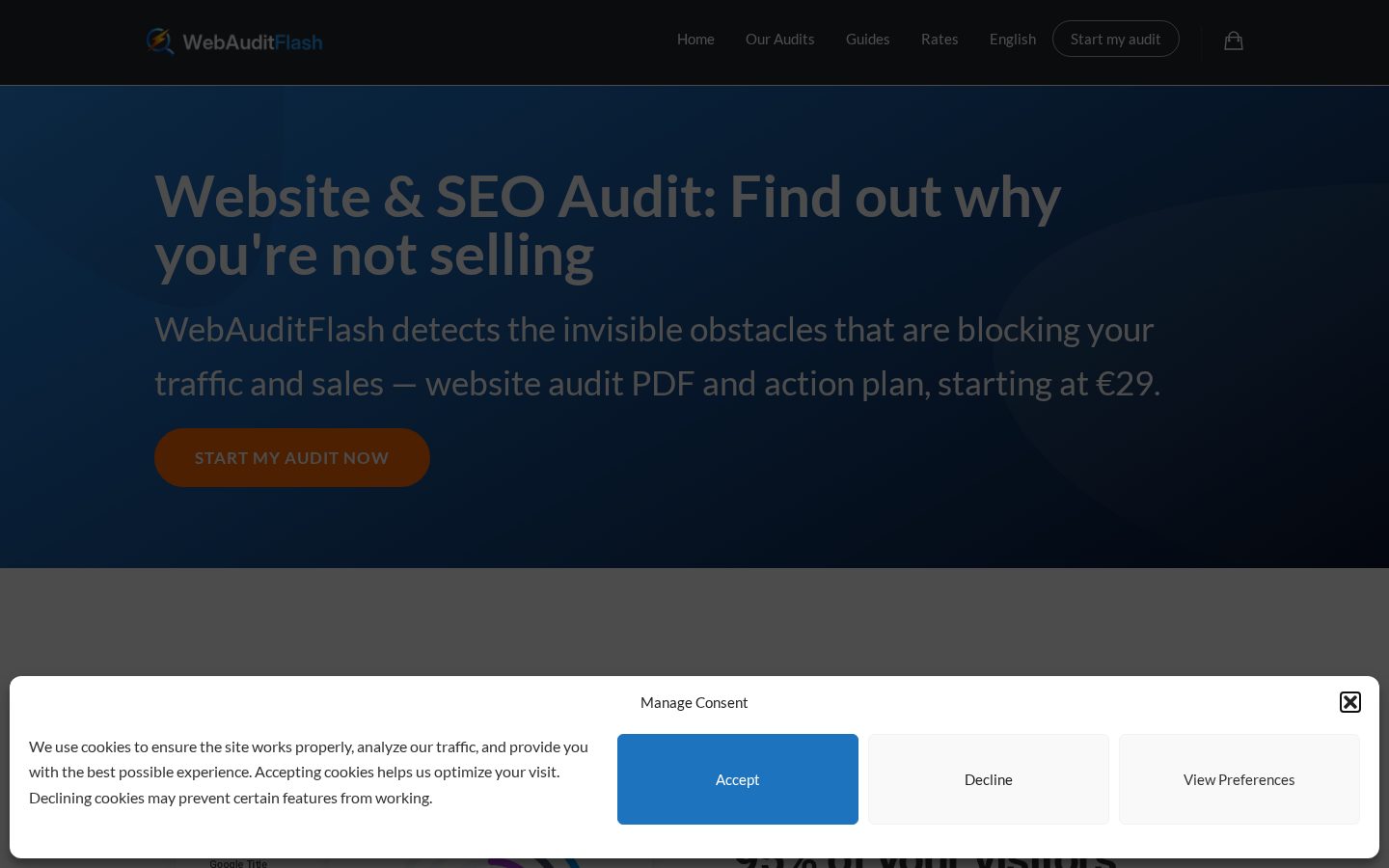WebAuditFlash Homepage