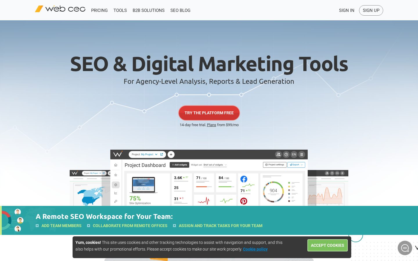 WebCEO Homepage