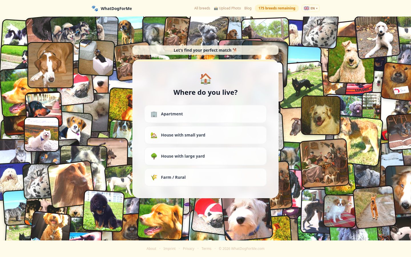 WhatDogForMe Homepage