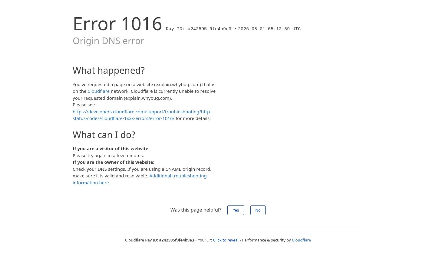 Whybug AI Homepage