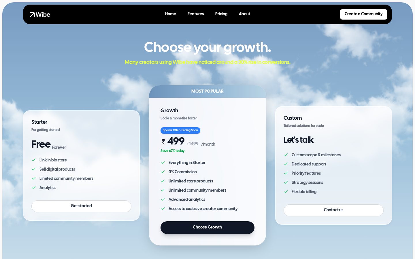 Wibe Pricing