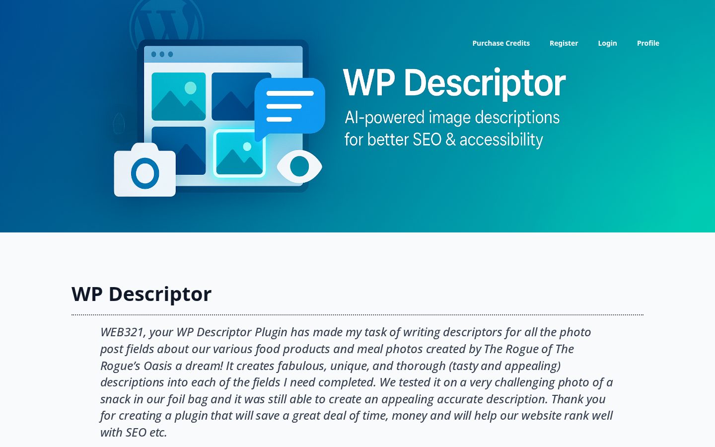 WP Descriptor Homepage